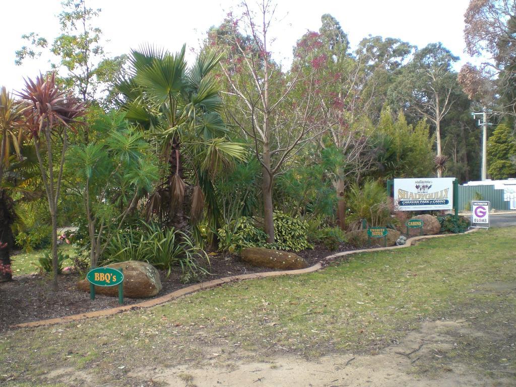 Mallacoota'S Shady Gully Caravan Park ภายนอก รูปภาพ