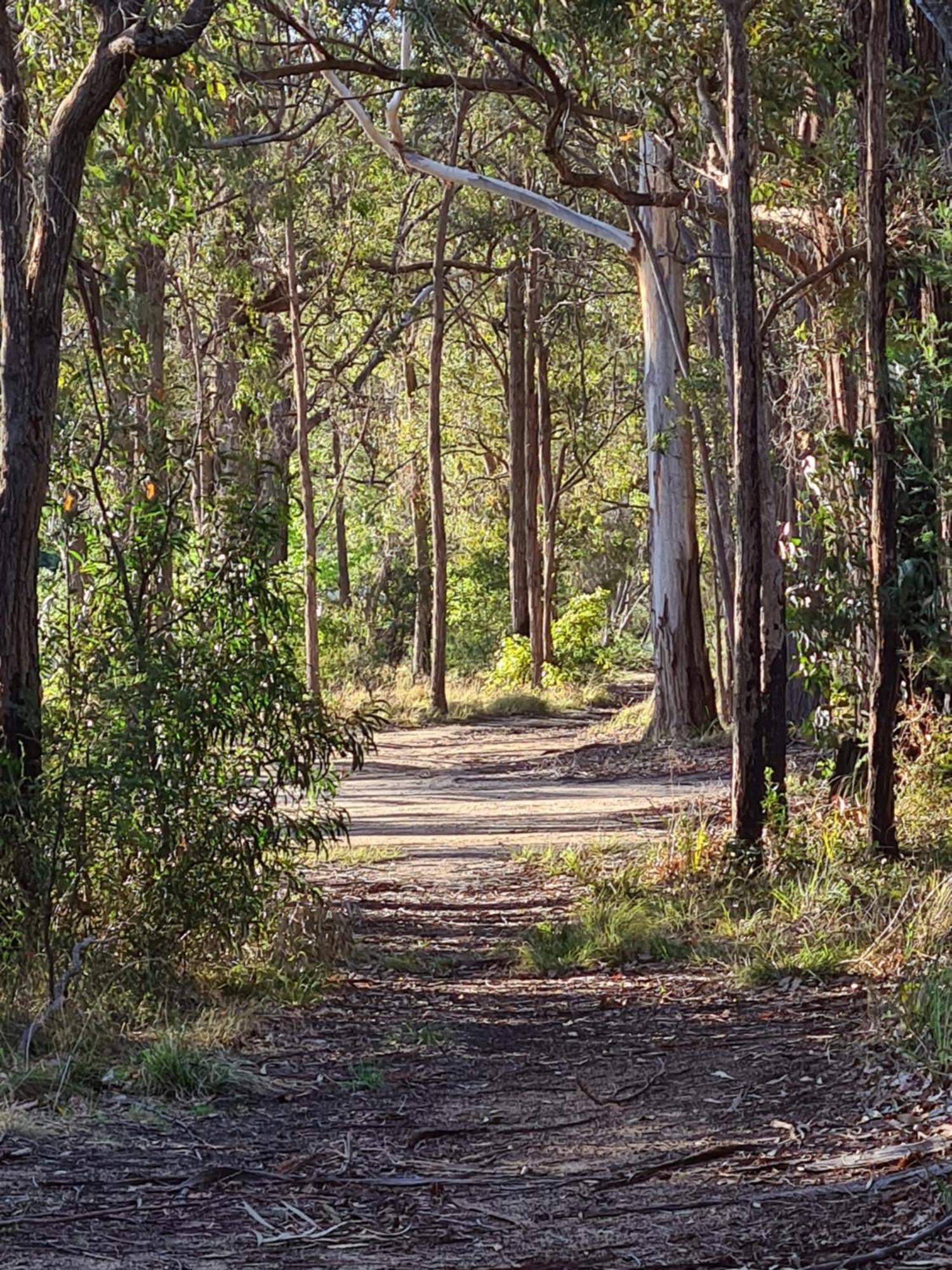 Mallacoota'S Shady Gully Caravan Park ภายนอก รูปภาพ