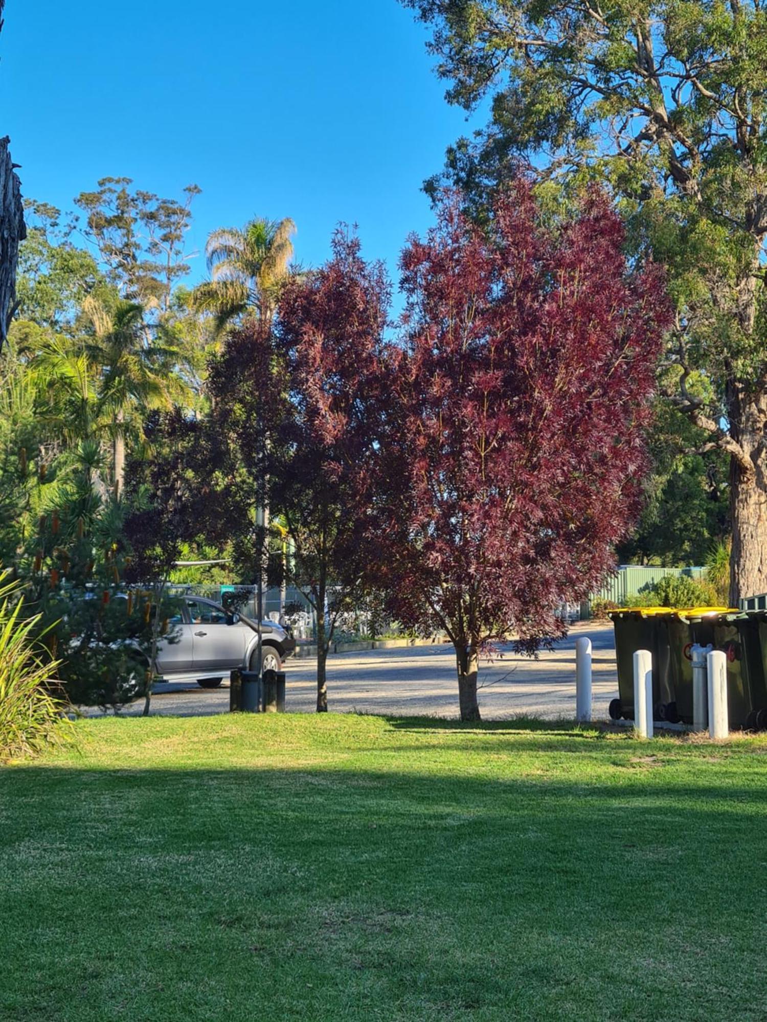 Mallacoota'S Shady Gully Caravan Park ภายนอก รูปภาพ