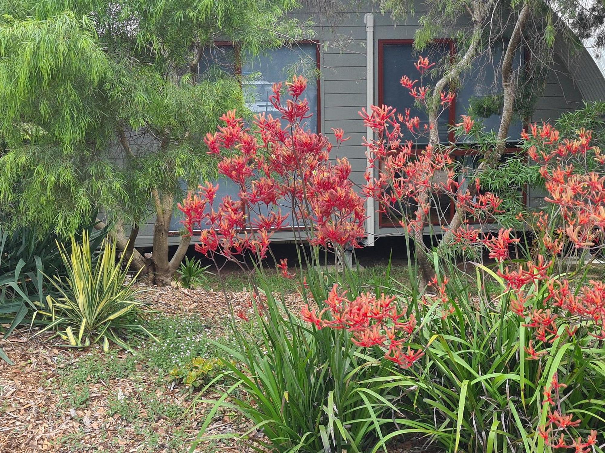 Mallacoota'S Shady Gully Caravan Park ภายนอก รูปภาพ