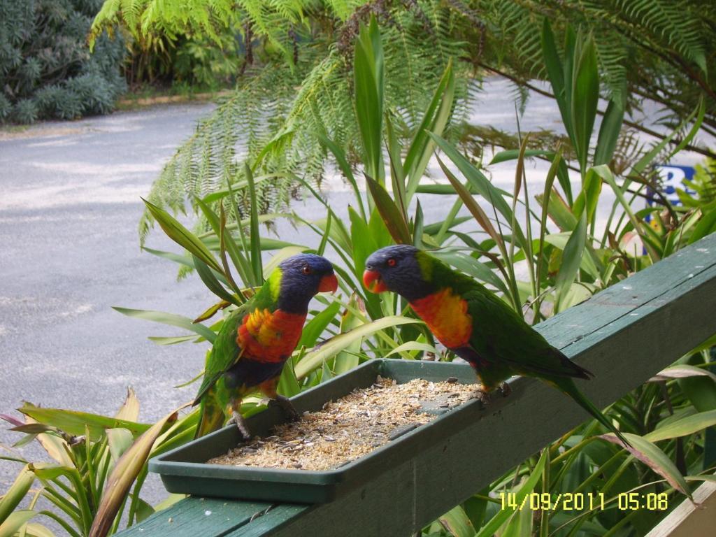 Mallacoota'S Shady Gully Caravan Park ภายนอก รูปภาพ